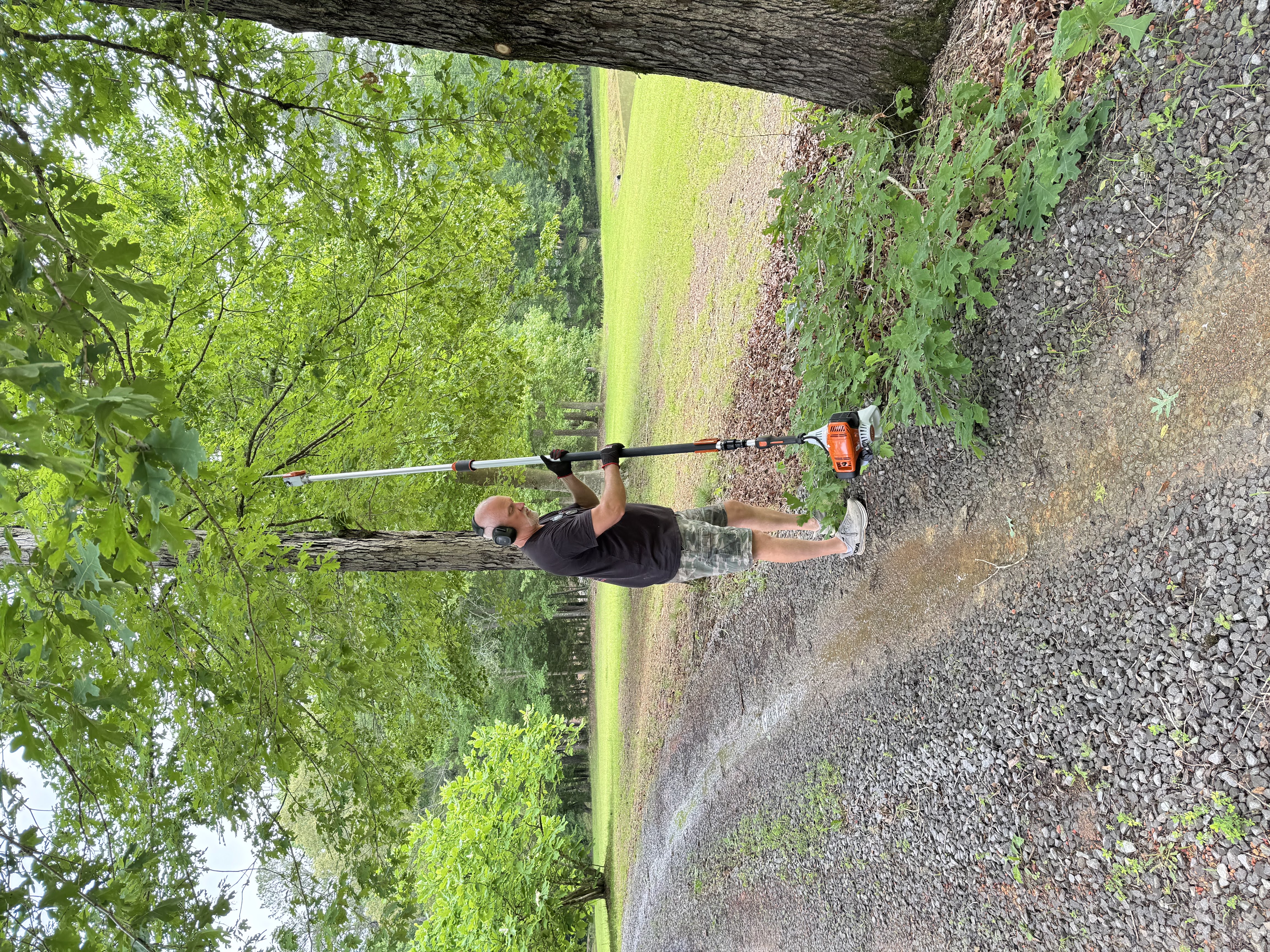 Scott Ball_Lake Life Lawn and Property Maintenance with Tree Trimming Saw
